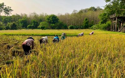 Chiang Mai, vacanze ecosostenibili a contatto con le tribù