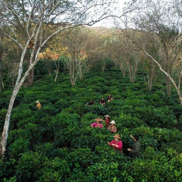 Chiang Mai, vacanze ecosostenibili a contatto con le tribù